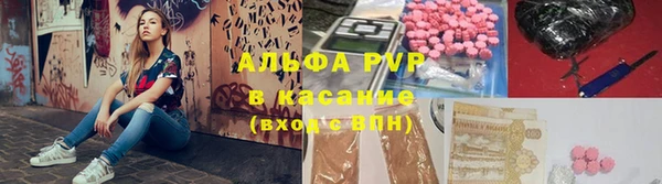ECSTASY Майский