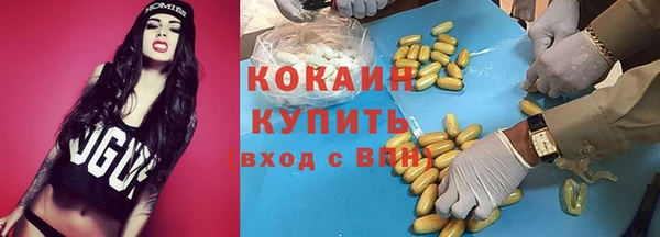 мяу мяу мука Магас