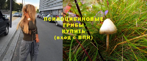 ПСИЛОЦИБИНОВЫЕ ГРИБЫ Магадан