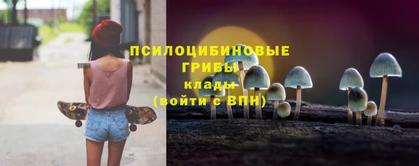ПСИЛОЦИБИНОВЫЕ ГРИБЫ Магадан