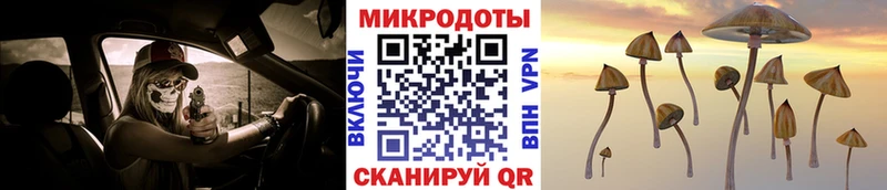 Купить  Облучье  Галлюциногенные грибы ЛСД 
